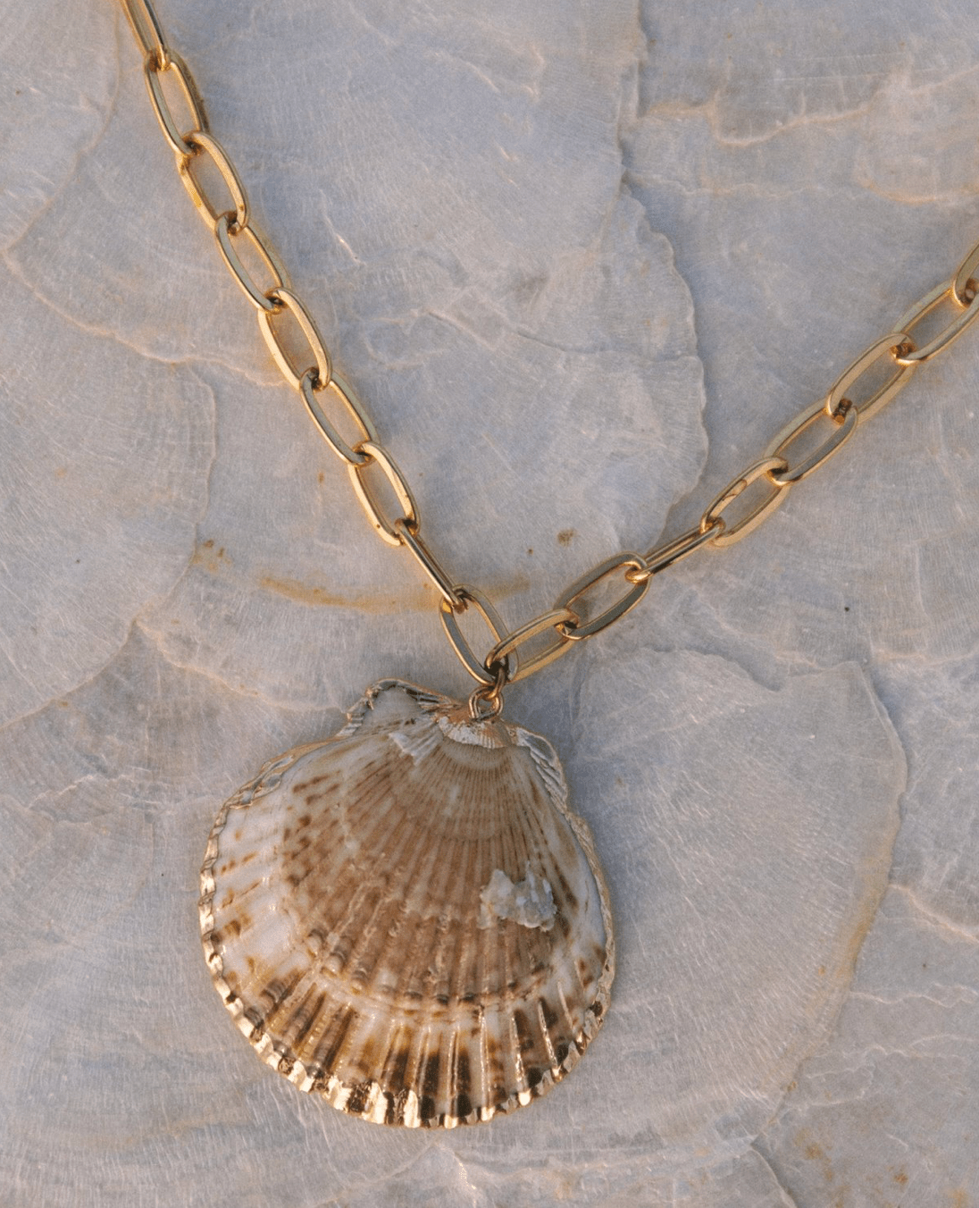 VOYAGE Scallop Shell Chain Necklace - The Salty BabeJewelry