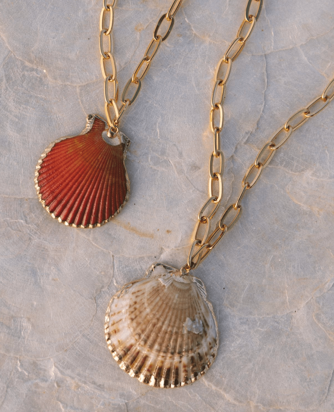 VOYAGE Scallop Shell Chain Necklace - The Salty BabeJewelry