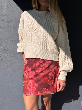 Wild Rouge Mini Skirt - The Salty BabeSkirts