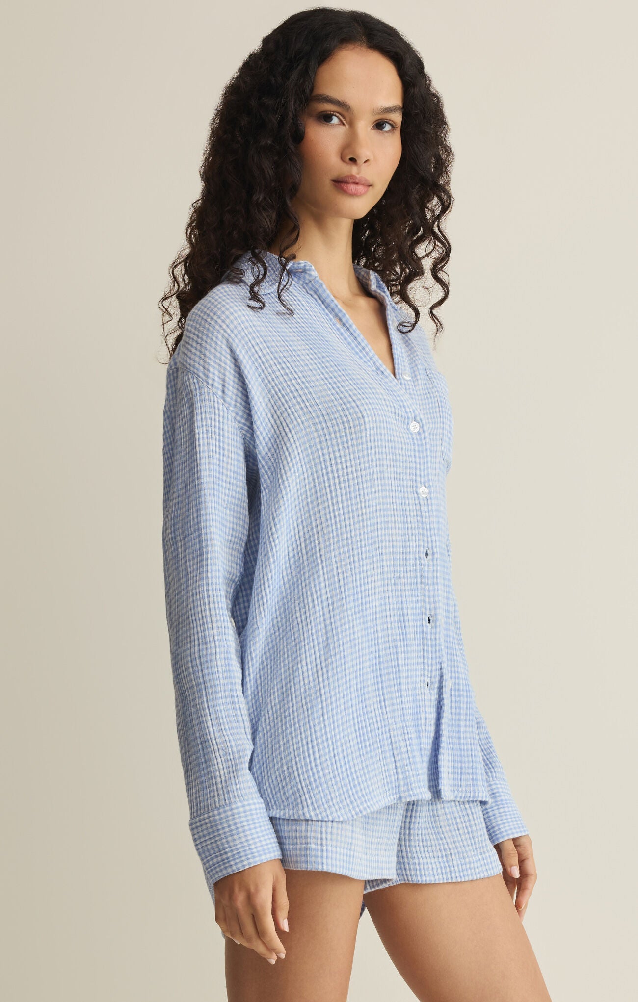 ZSUPPLY Classic Gingham Long Sleeve Top - Ice Blue - The Salty BabeLong Sleeve Tops